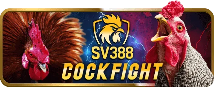 Các tính năng bảo mật và công bằng của m8win app